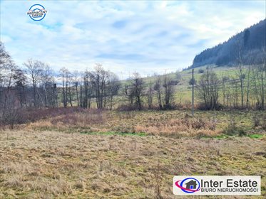 Działka budowlana na sprzedaż Łomnica, Sudecka 1 500m2 Foto 2