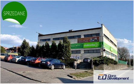 Lokal użytkowy na wynajem Radziejów 491m2 Foto 5