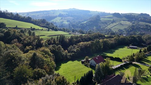 działka na sprzedaż 2007m2 działka Przydonica