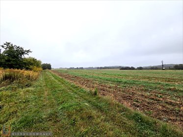 działka na sprzedaż 10100m2 działka Rzeplin