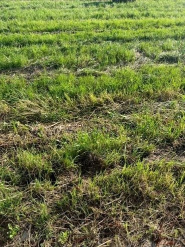 Działka nad morzem z możliwością budowy i rozłożeniem na raty działka Wicie, Wicie