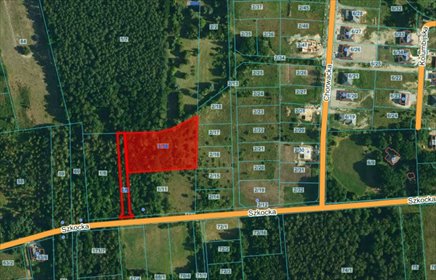 Działka 5633 m² z WZ pod dom w Janinowie – szybka inwestycja działka Janinów, Szkocka