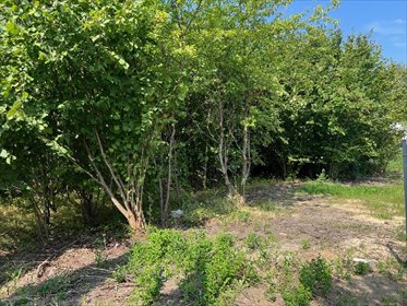 działka na sprzedaż 2803m2 działka Częstochowa, Lisiniec