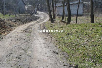 Działka leśna na sprzedaż Malkowice 4 800m2 Foto 2
