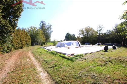 Działka inwestycyjna z fundamentem, media, drzewa - polecam! działka Krosno