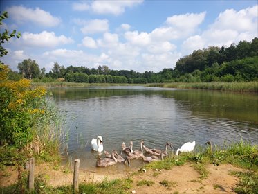 działka na sprzedaż 60000m2 działka Ptakowice, Ptakowice, Oświęcimska