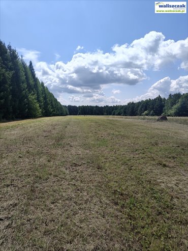Polecam działki 2 ha z dojazdem asfaltowym w gm. Pardyż działka Honoratów
