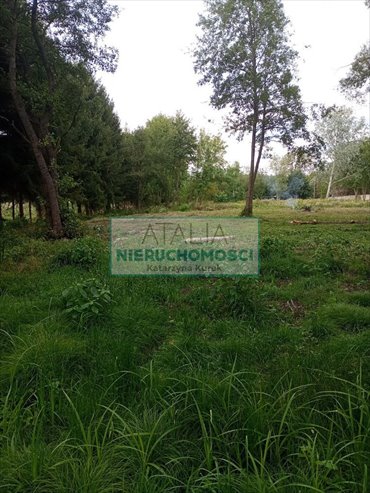 Działka 1300 m² w Kozerkach - zielona i spokojna okolica działka Kozerki