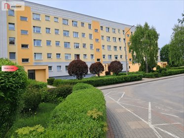 Przestronne 4-pokojowe mieszkanie z balkonami i ekspozycją na 3 strony mieszkanie Malbork