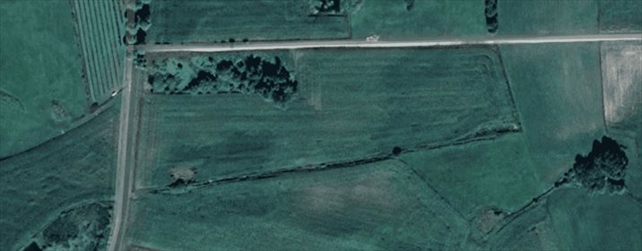 Działka rolna na sprzedaż Komorzewo 28 000m2 Foto 4