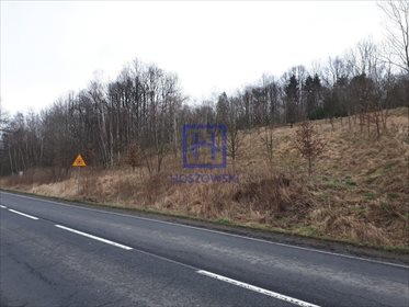 Działka budowlana na sprzedaż Kościelniki Górne 2 789m2 Foto 3