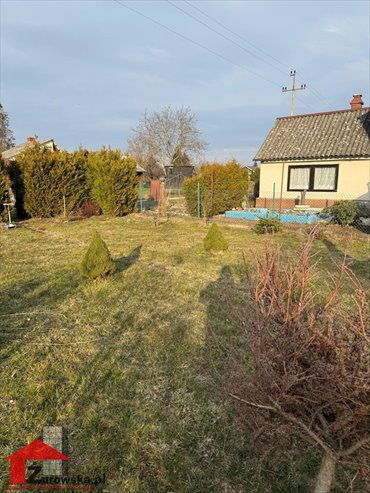 lokal użytkowy na sprzedaż 500m2 lokal użytkowy Strzelce Opolskie