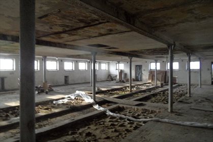 Działka budowlana na sprzedaż Olsza 12 000m2 Foto 5