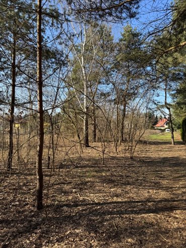 działka na sprzedaż 2392m2 działka Puszczykowo, Puszczykowo, Czarna