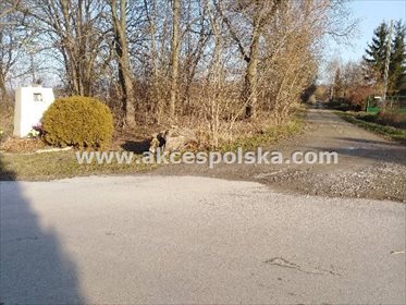 Do sprzedania działka 6248 m² z lasem i mediami działka Barcice Drwalewskie, Leśna