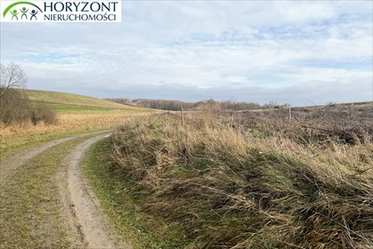 Działka budowlana 1255 m² z dobrym dojazdem i planem zagospodarowania działka Lisewiec