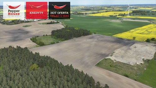 Działka przemysłowa 92 700 m² z dostępem do infrastruktury działka Rajkowy, Jesionowa