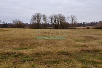 Działka pod usługi sportu, turystyki i zieleń — 13 000 m² działka Grójec