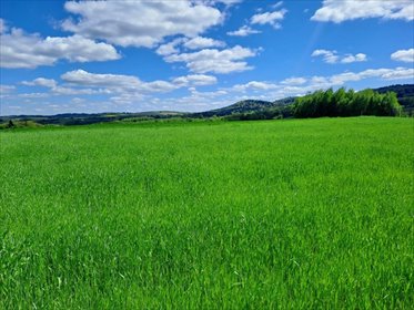 działka na sprzedaż 3000m2 działka Wielopole Skrzyńskie