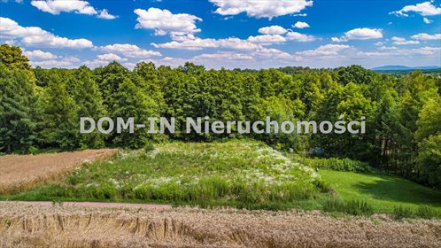 Działka inna na sprzedaż Skrbeńsko, Poprzeczna 2 481m2 Foto 3