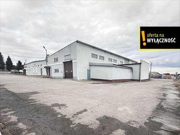 Magazyn na sprzedaż 1200 m² z rampą i biurem magazyn Racibórz, Podmiejska