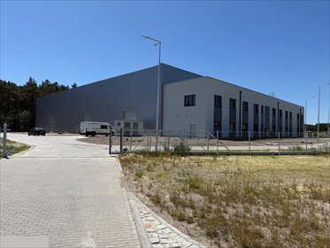 lokal użytkowy na wynajem 5000m2 lokal użytkowy Bydgoszcz, Łęgnowo, Petersona