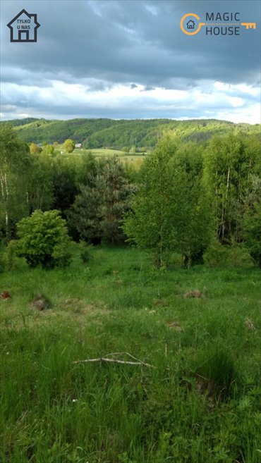 Działka 1,26 ha z WZ, 2 domy, inwestycja i prywatność działka Stara Huta, Perłowa