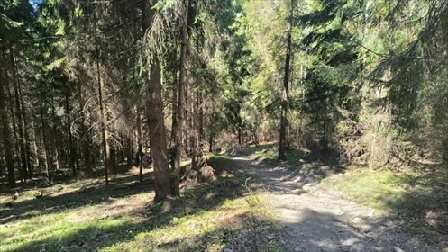 Działka leśna 40 arów w Milówce – dostęp z drogi działka Milówka, Prusów
