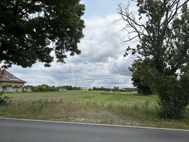 działka na sprzedaż 1075m2 działka Pogrzybów