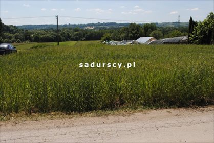 Działka budowlana na sprzedaż Wielkie Drogi 8 900m2 Foto 4