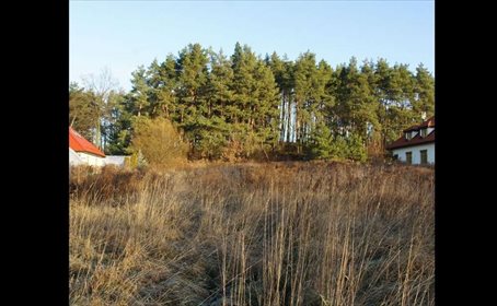 działka na sprzedaż 6300m2 działka Gronowo Górne, Opalowa