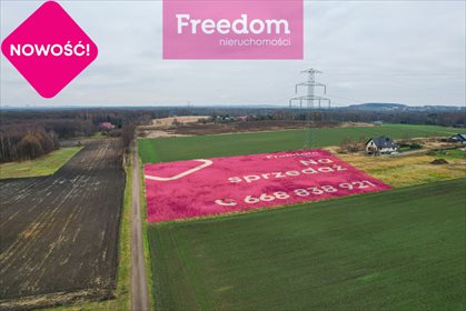 działka na sprzedaż 7822m2 działka Mikołów, Reta Śmiłowicka