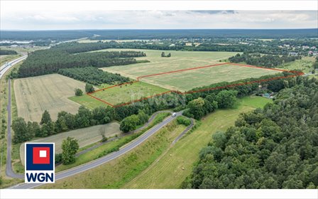 działka na sprzedaż 82700m2 działka Dąbrowa Bolesławiecka, Dąbrowa Bolesławiecka