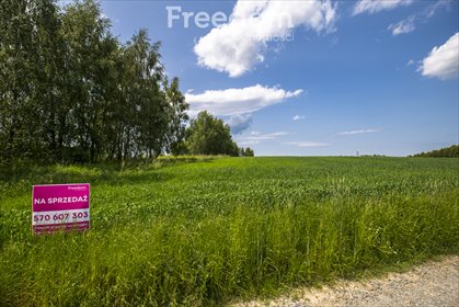 działka na sprzedaż 4600m2 działka Wysoka Strzyżowska