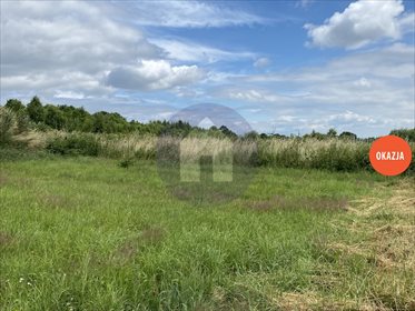 Działka budowlana na sprzedaż Starczów 2 574m2 Foto 1