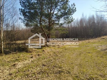 Do sprzedania działka 1019 m² w Salinko - las, jezioro 1 km działka Salinko