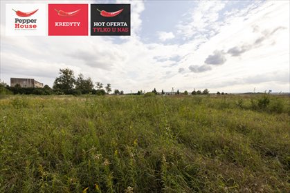 Działka inwestycyjna 9 678 m² z projektem magazynu działka Gniew, Krasickiego