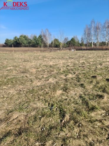 działka na sprzedaż 1200m2 działka Borowa Góra