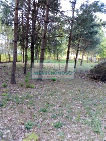 Zapraszam do zakupu działki 1980 m² w Komorowie działka Komorów