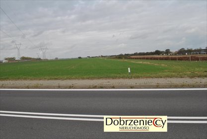 Działka inna pod dzierżawę Swadzim, Poznańska 8 500m2 Foto 1