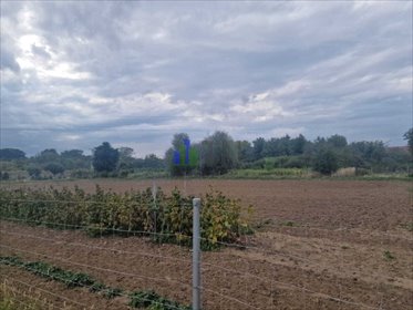 działka na sprzedaż 2049m2 działka Gajków