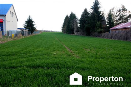 działka na sprzedaż 10000m2 działka Nałęczów