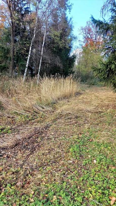 działka na sprzedaż 1004m2 działka Uciechów