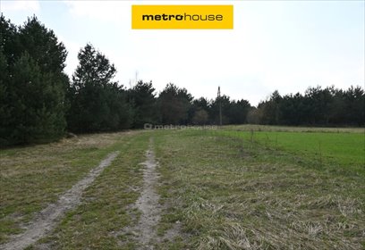 Duża działka 9 797 m² z lasem i widokiem na pola działka Stary Adamów, Promyka