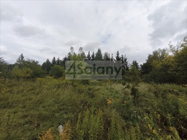 Działka usługowa 4270 m² przy głównych ulicach Sulejówka. działka Sulejówek