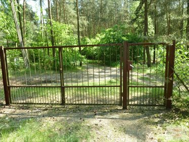 Dom na sprzedaż Bechcice-Kolonia 20m2 Foto 5