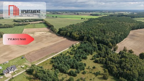 Sprzedam 4 działki 1555 m² z warunkami zabudowy Grabowiec działka Grabowiec