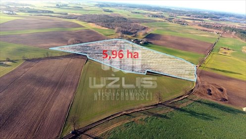 działka na sprzedaż 59600m2 działka Budy