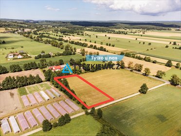 działka na sprzedaż 4412m2 działka Kniewo, Radosna