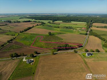 działka na sprzedaż 4956m2 działka Stare Czarnowo